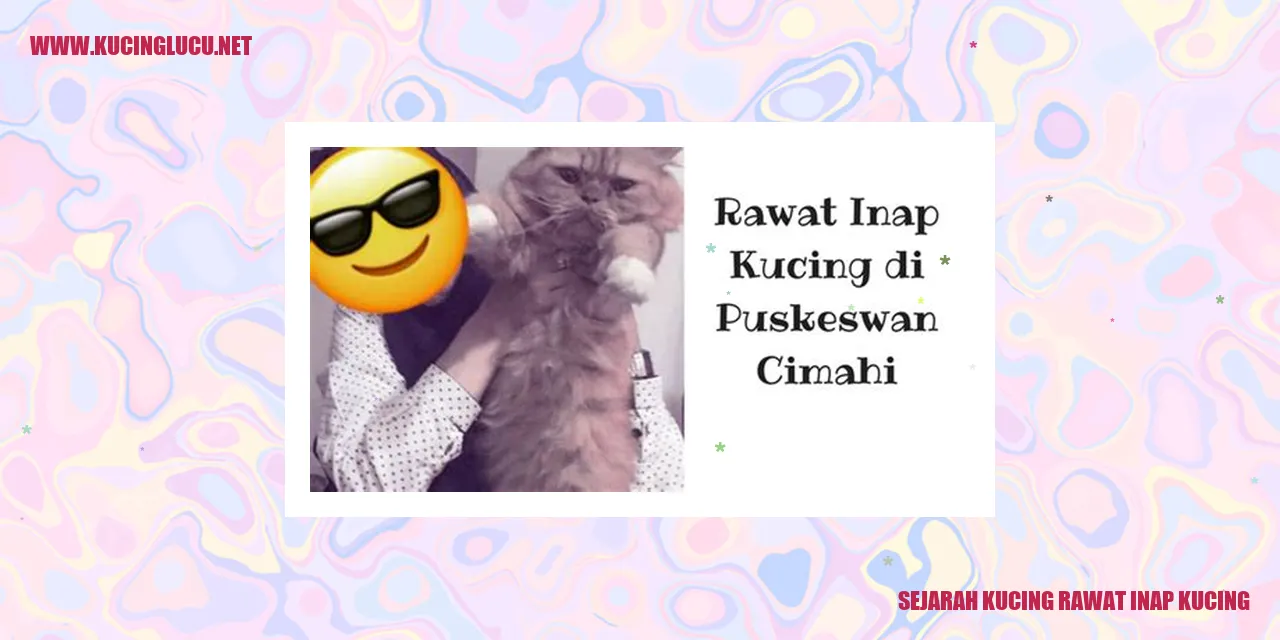 Kucing rawat inap kucing