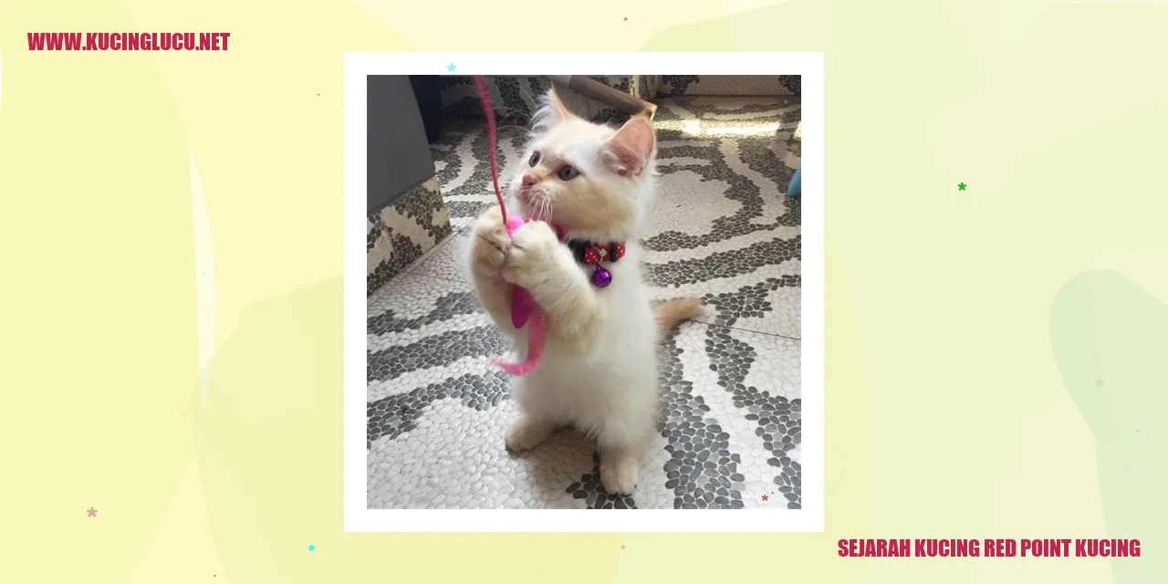 Kucing Red Point