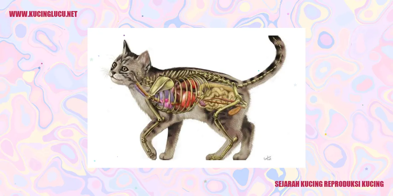 Kucing Reproduksi