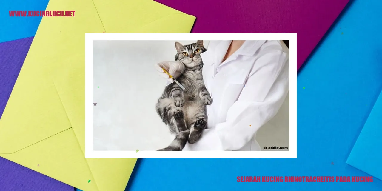 Sejarah Kucing Rhinotracheitis pada Kucing