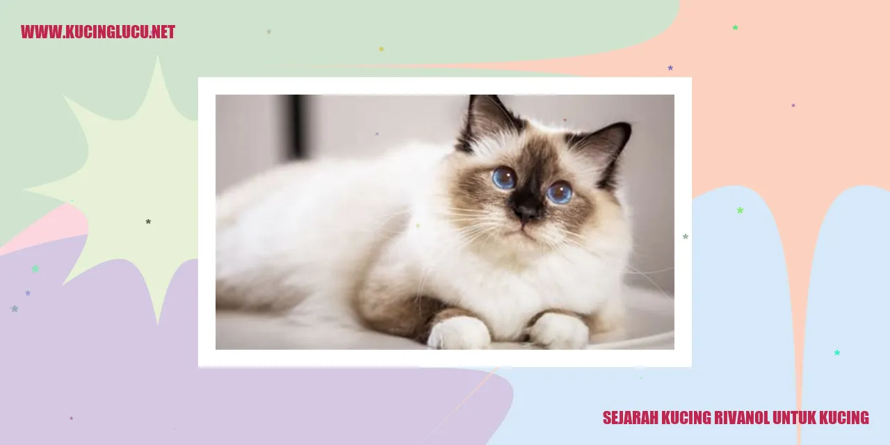 Sejarah Kucing Rivanol untuk Kucing