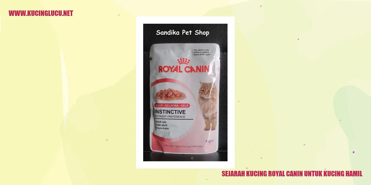Sejarah Kucing Royal Canin untuk Kucing Hamil