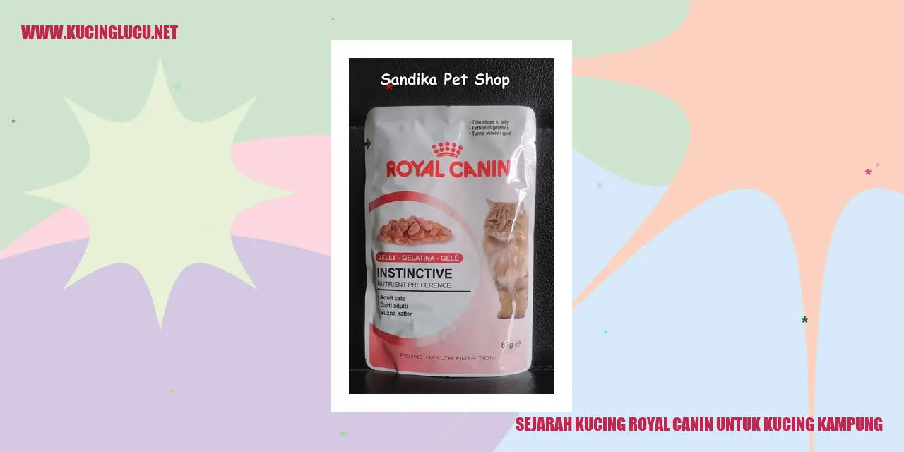 Gambar Kucing Kampung