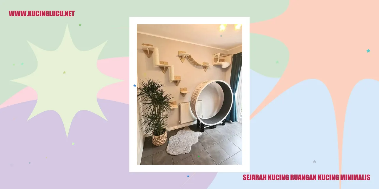 Gambar Sejarah Kucing Ruangan Kucing Minimalis