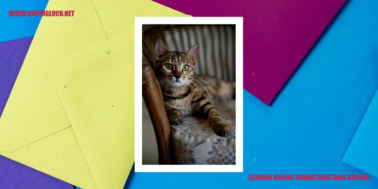 Kucing Rumah