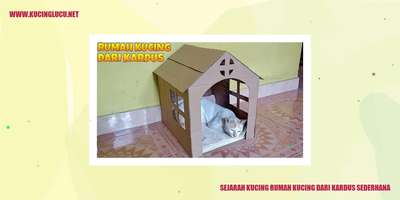 Ilustrasi Kucing Menggunakan Rumah Kardus
