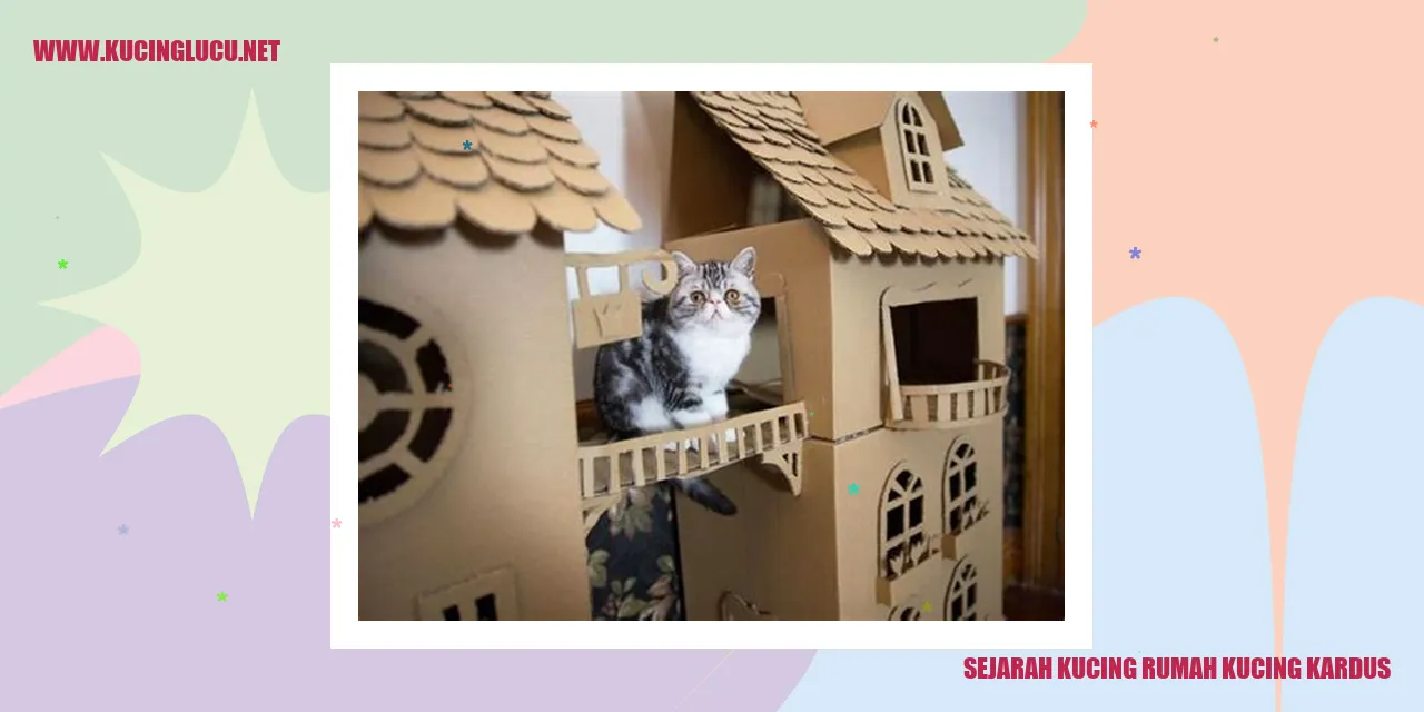 Kucing dalam karton