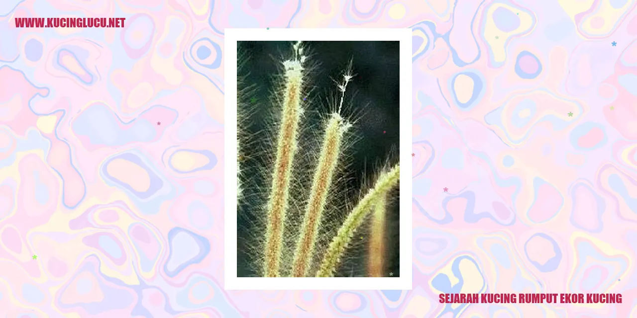 Sejarah Kucing Rumput Ekor Kucing
