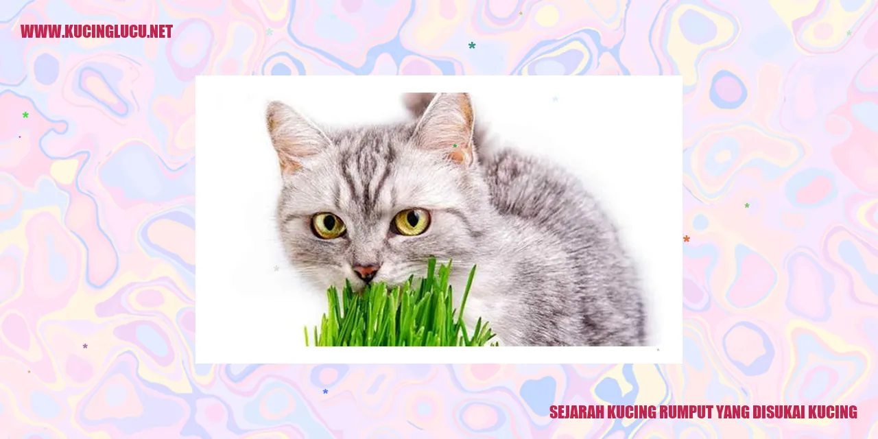 Kucing rumput yang disukai kucing