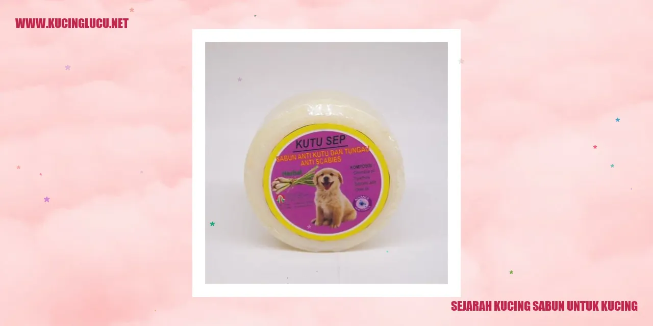 Kucing Sabun untuk Kucing