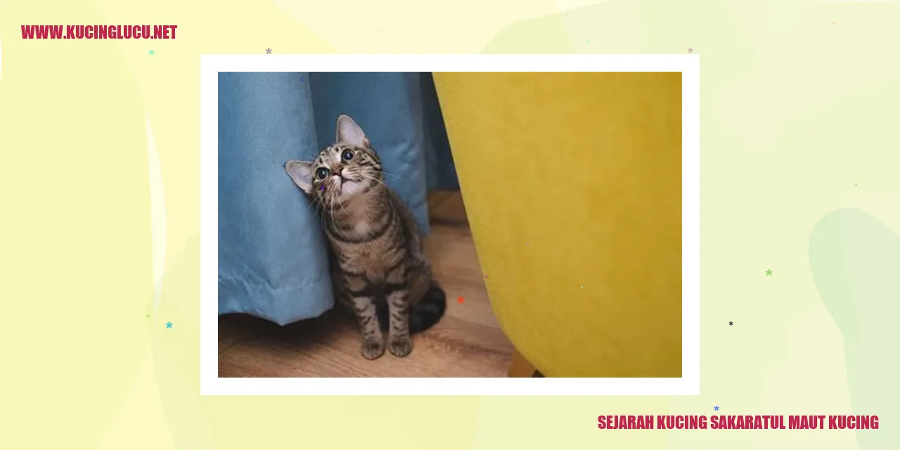 Sejarah Kucing Sakaratul Maut Kucing