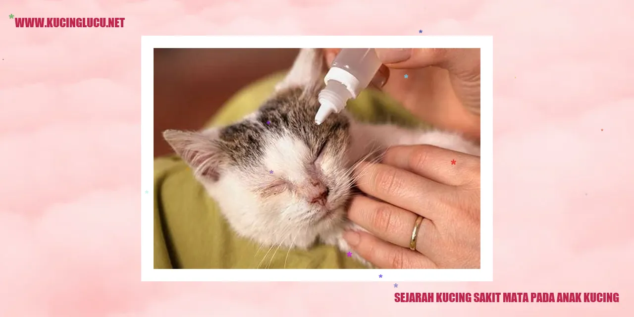 Gangguan Mata pada Anak Kucing