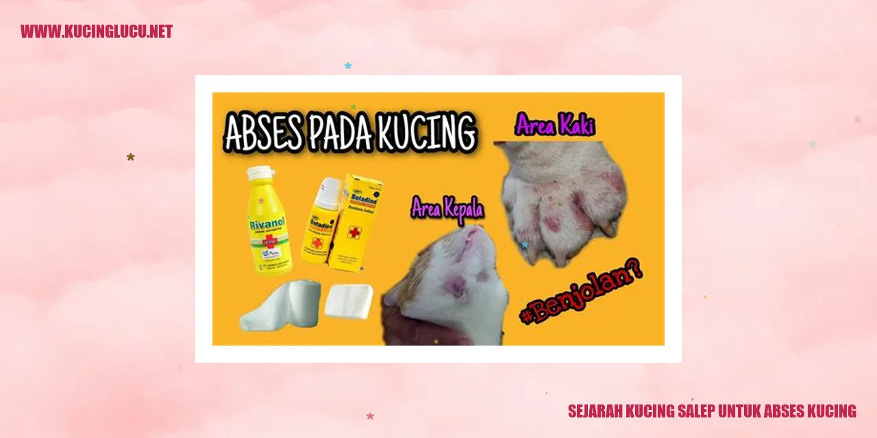 Kucing mengalami abses