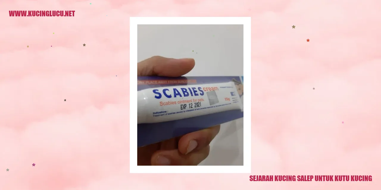 Gambar Kucing Salep untuk Kutu Kucing