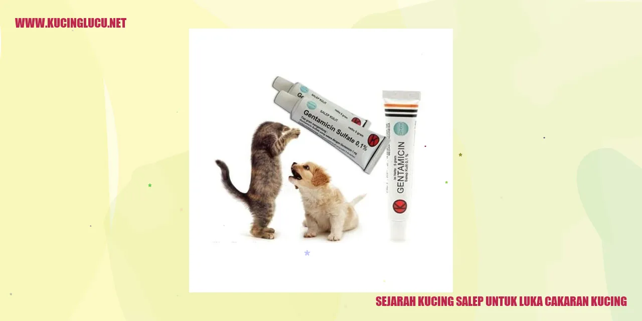 Sejarah Kucing Salep untuk Luka Cakaran Kucing