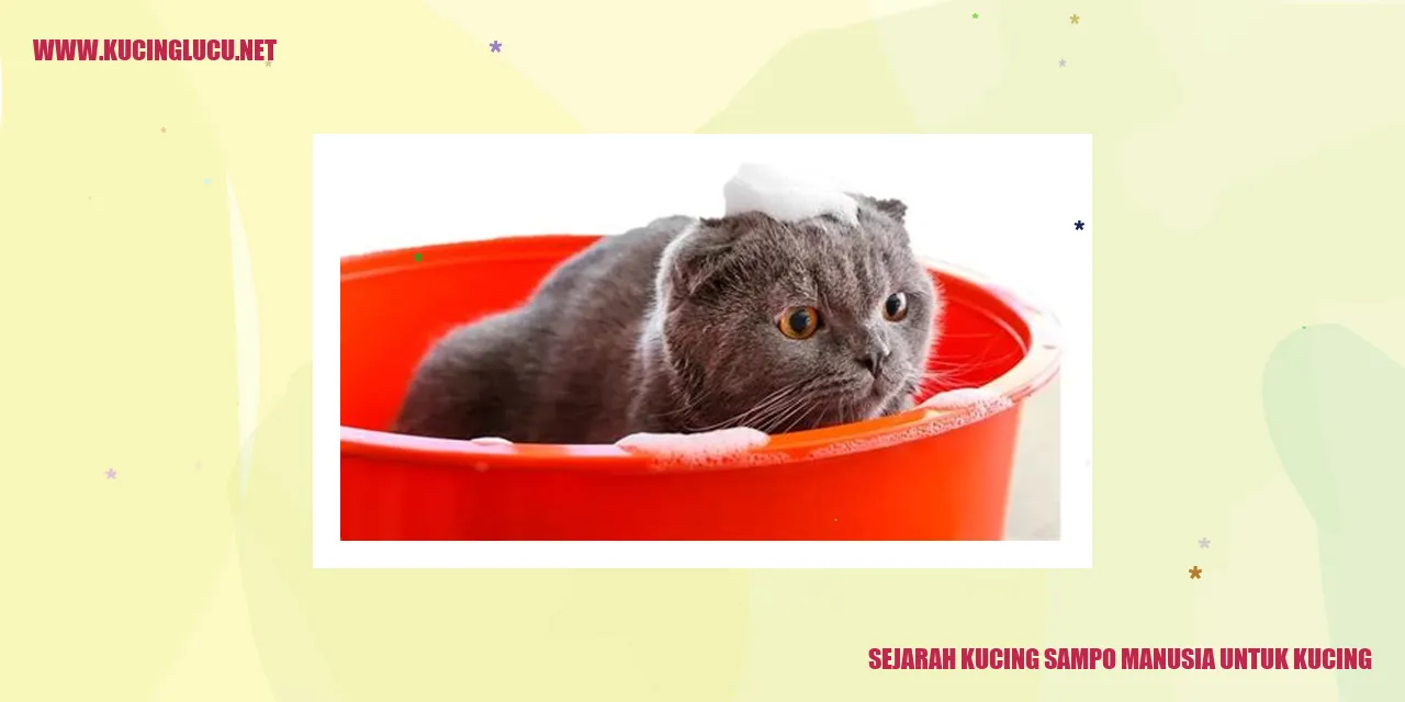 Gambar perawatan mandi bagi kucing
