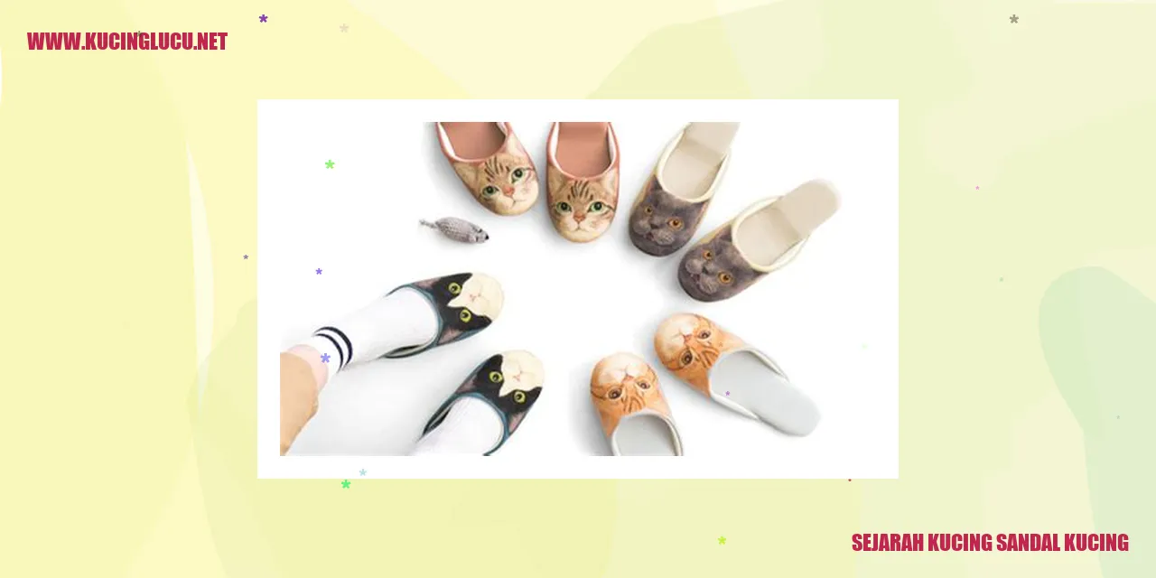 Potret sandal kucing
