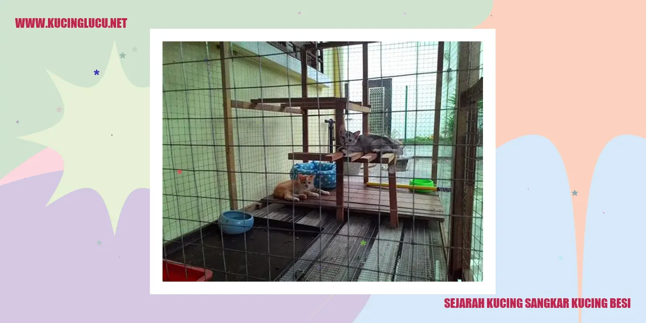 Gambar Kucing Sangkar Kucing Besi