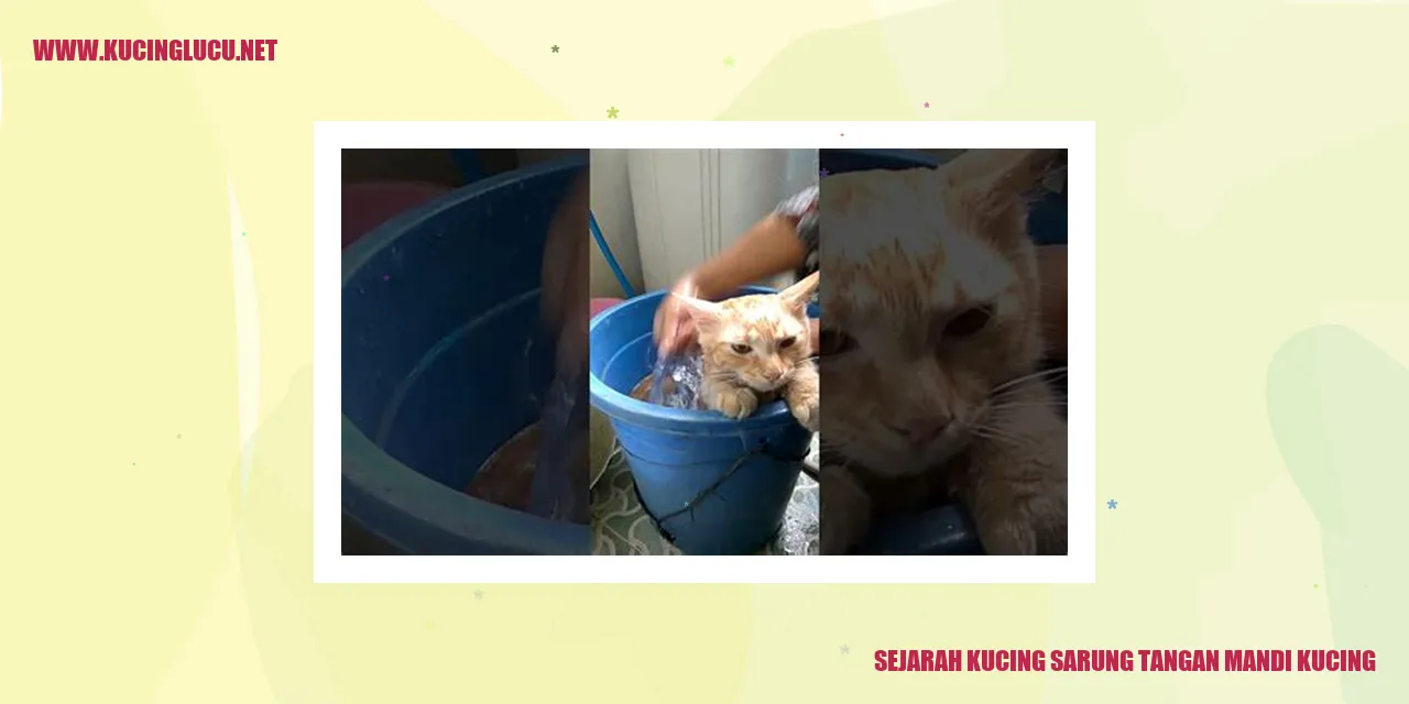 Kucing Melejit Mandi Kucing