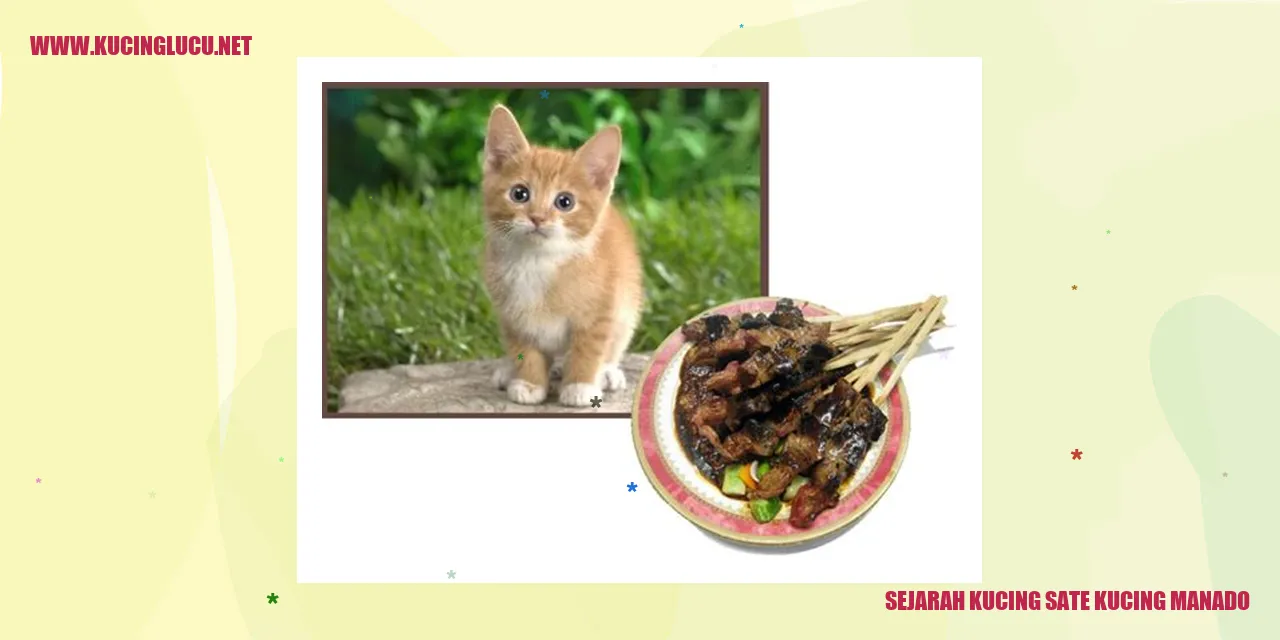 Kucing Sate Kucing Manado