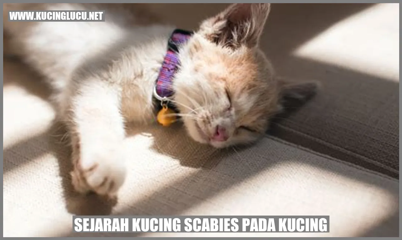 Sejarah Kucing Scabies pada Kucing