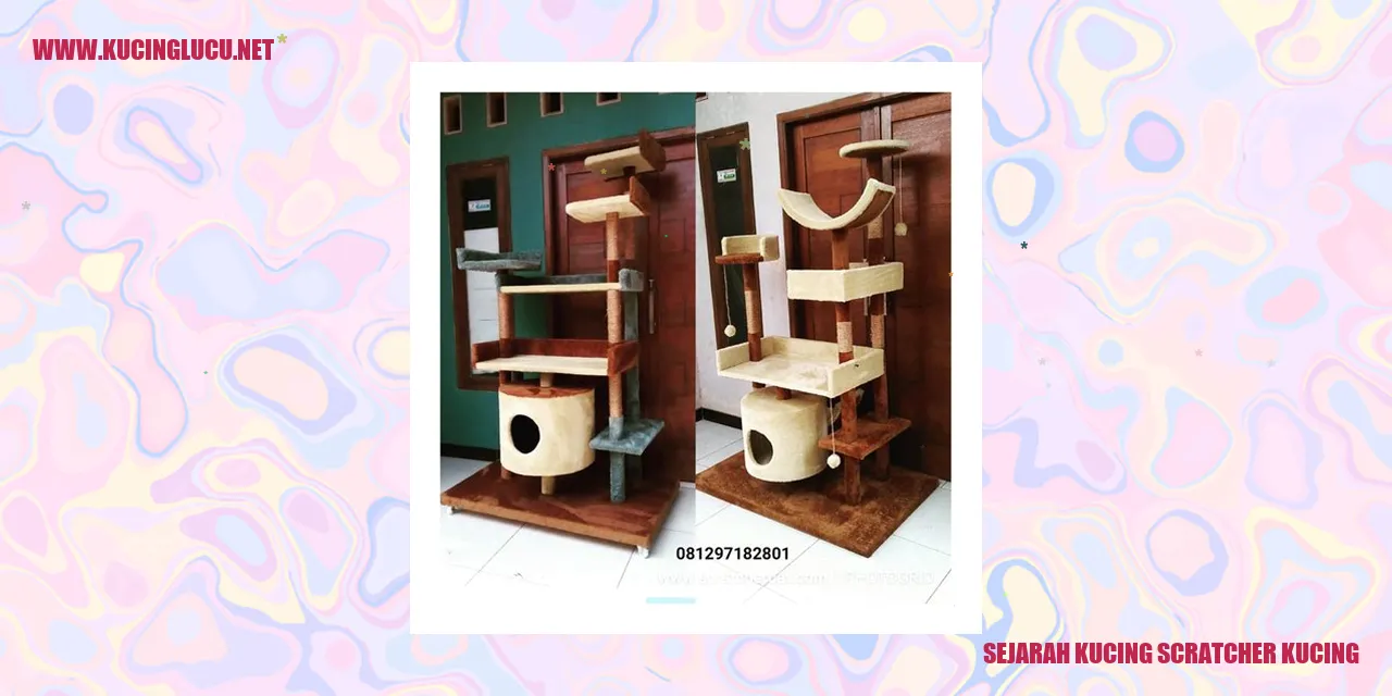 Gambar Kucing Scratcher