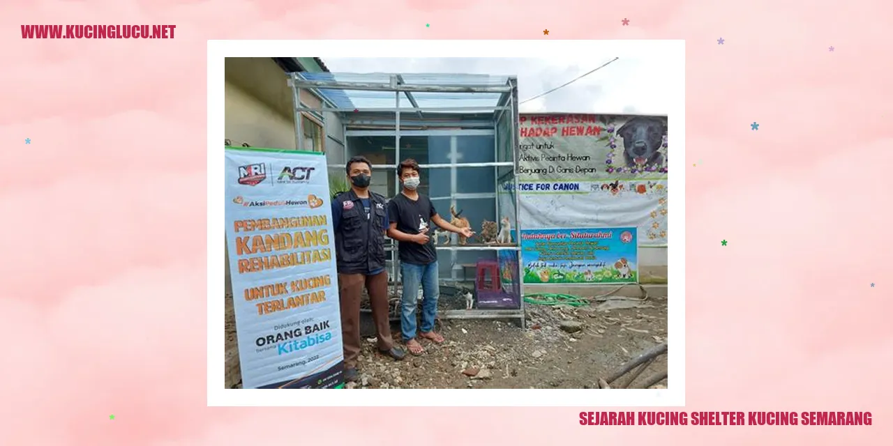 Sejarah Tempat Penampungan Kucing di Semarang