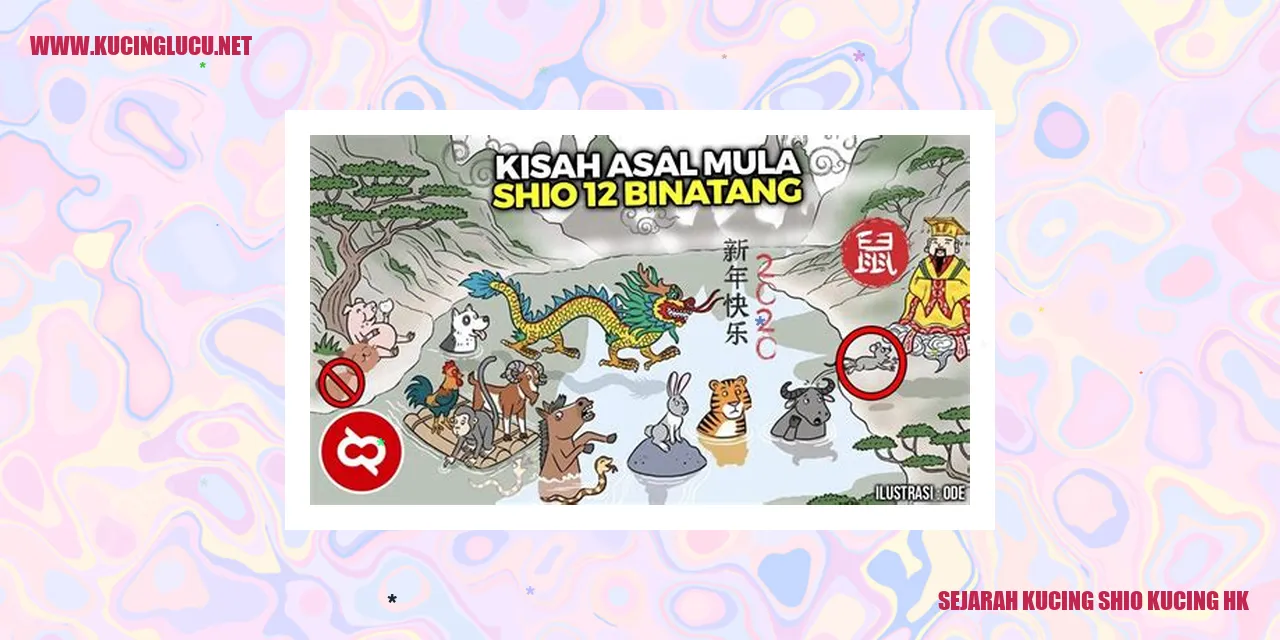 Gambar Kucing Shio Kucing HK