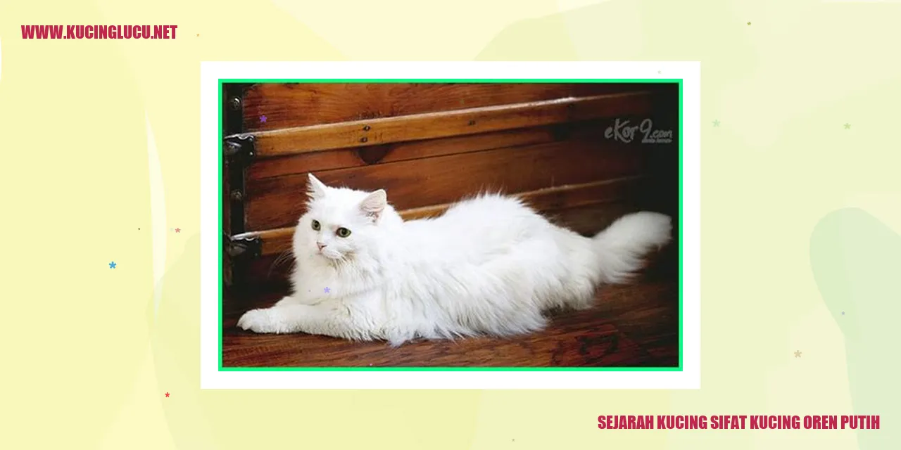Gambar Sejarah Kucing dan Kucing Oren Putih