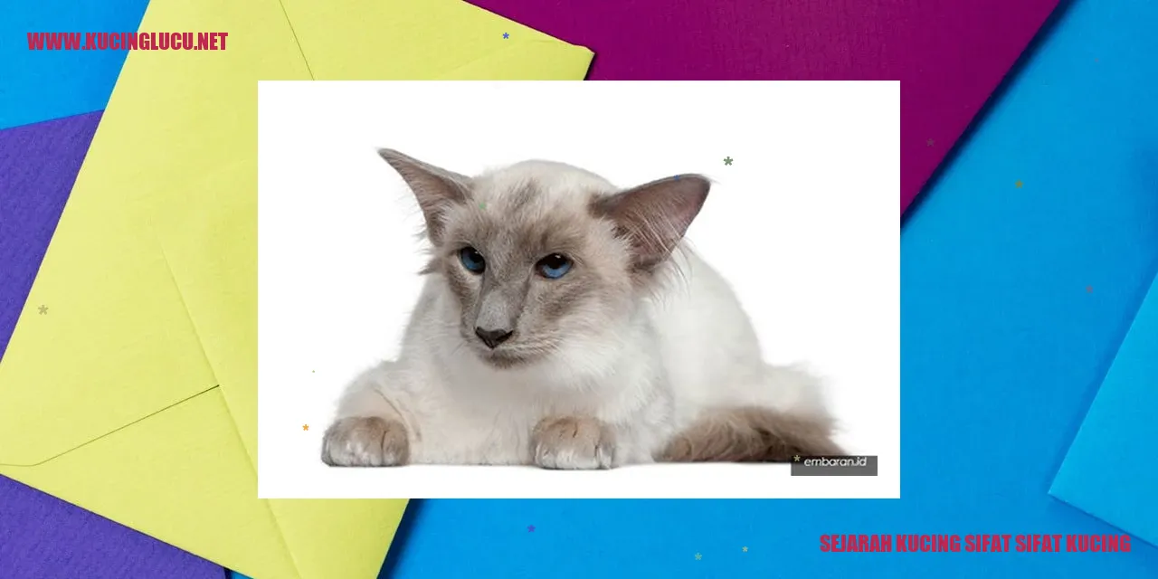 Gambar Kucing