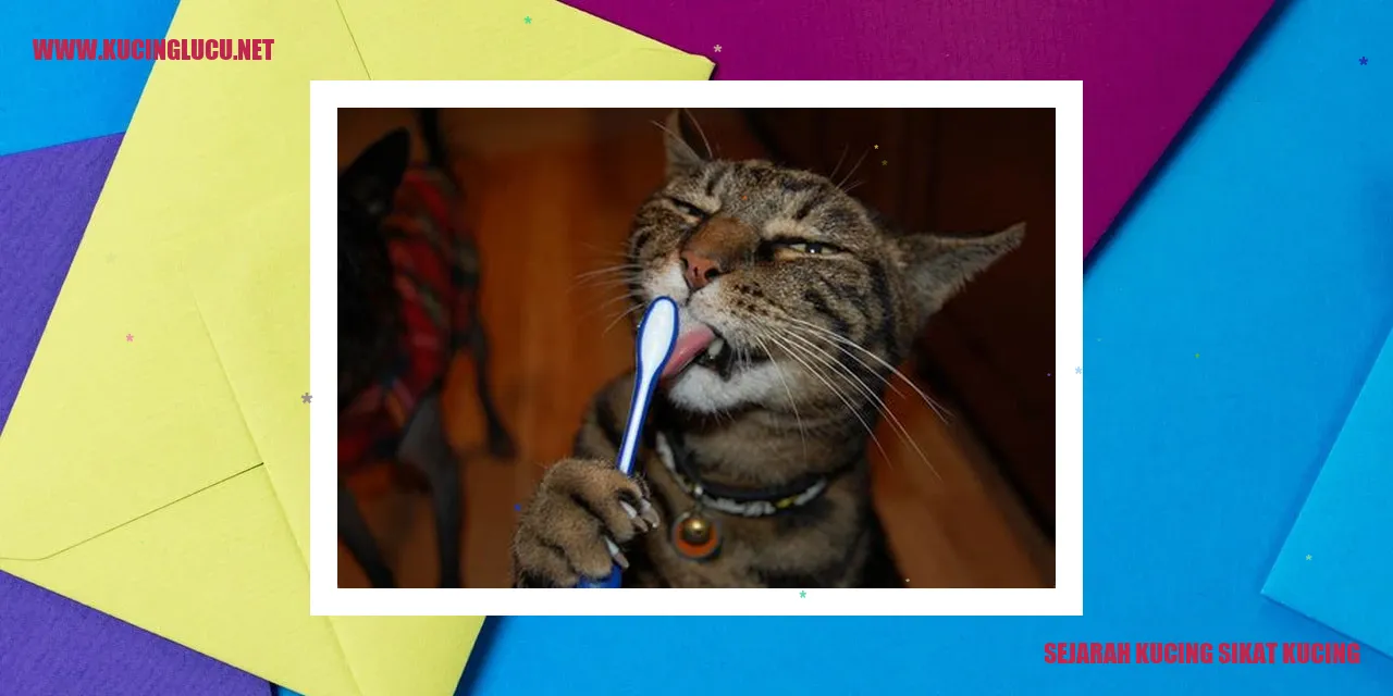 Sejarah Kucing Sikat Kucing