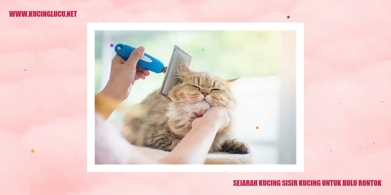 Gambar kucing sisir