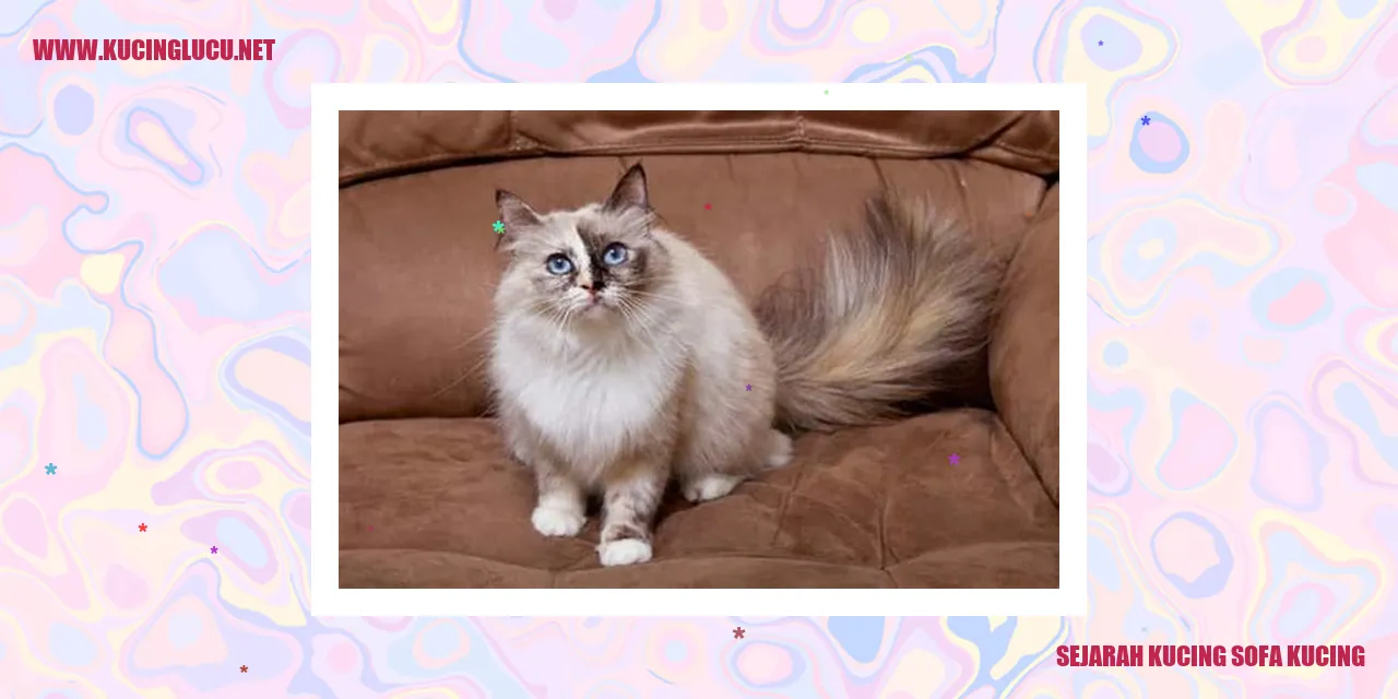Kucing Sofa Kucing