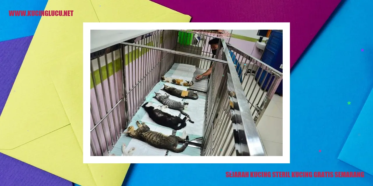 Kucing steril gratis Semarang