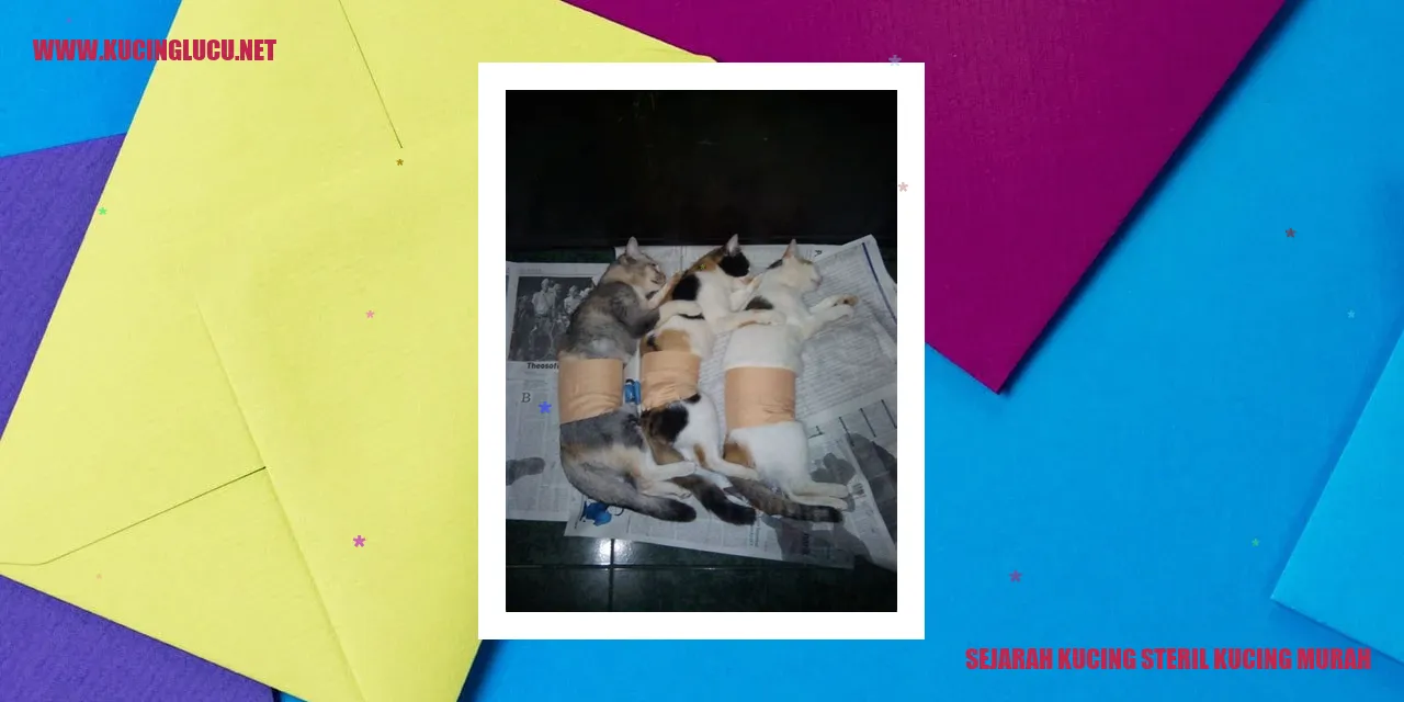 Gambar Kucing yang Menggemaskan