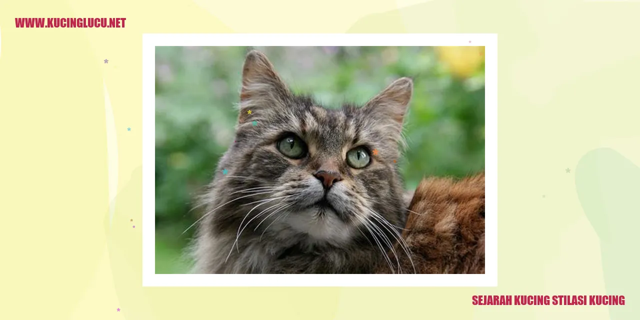 Galeri Kucing Stilasi yang Menakjubkan