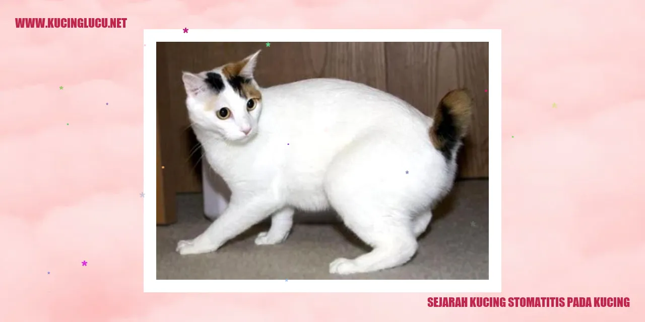 gambar kucing yang mengalami stomatitis