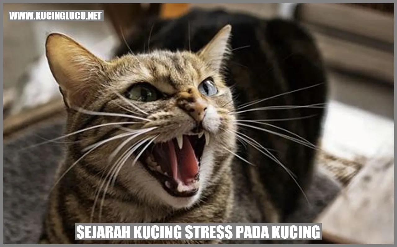 Illustrasi Kucing Stres