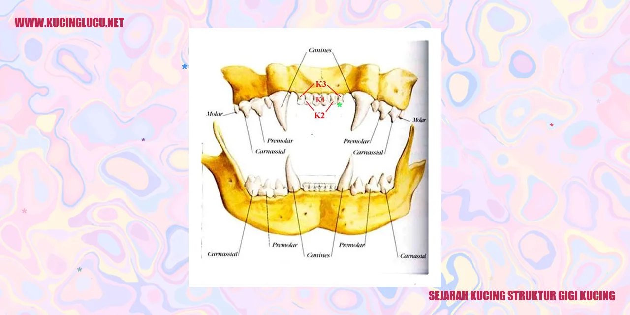 Sejarah Kucing struktur gigi kucing