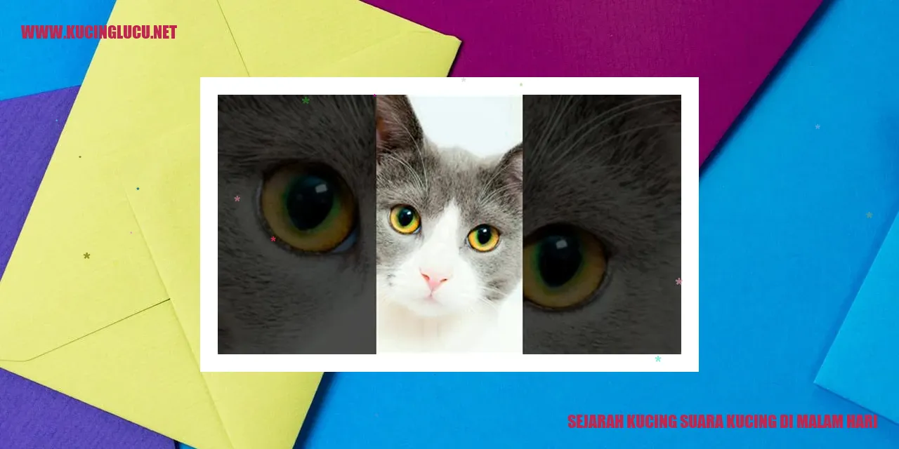 Gambar Kucing dan Tradisinya Berbicara di Malam Hari