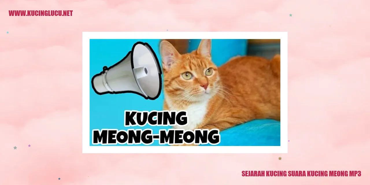 Gambar kucing yang sedang bermain