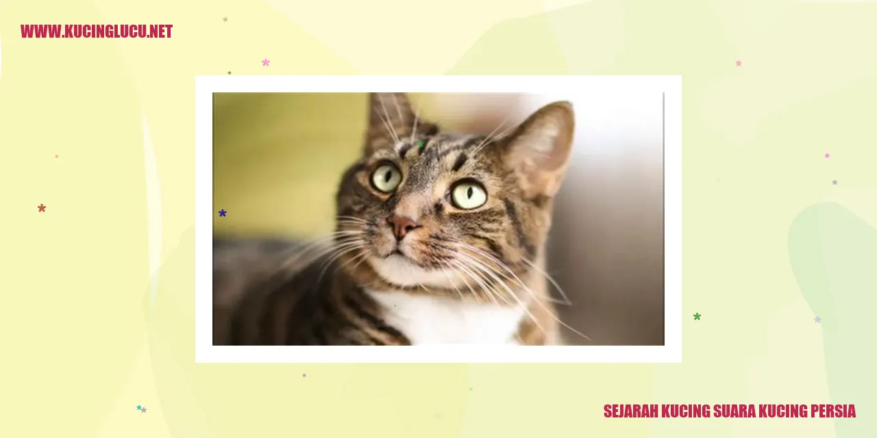 Sejarah Kucing suara kucing persia