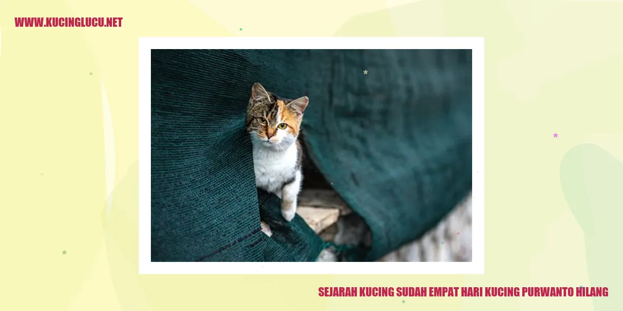 Sejarah Hilangnya Kucing