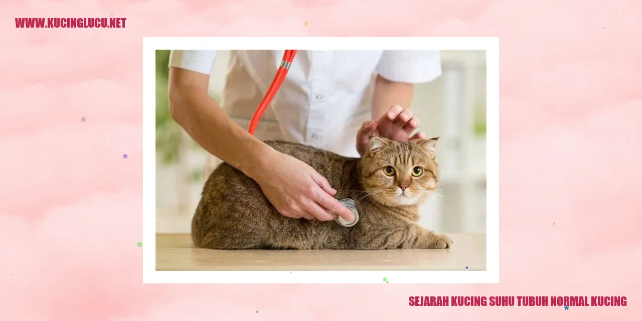 gambar kucing yang sedang beristirahat
