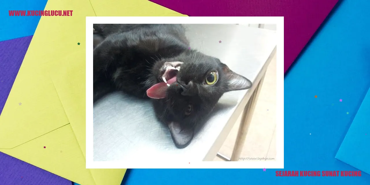 Sejarah Kucing Sunat Kucing