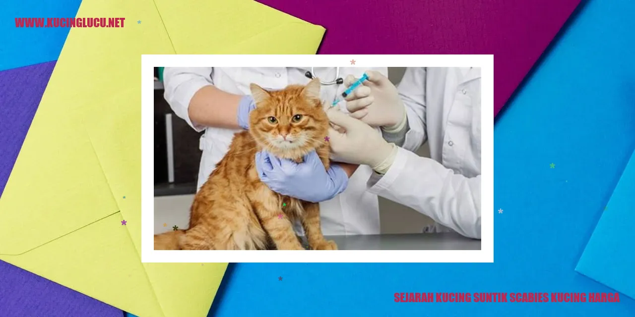 Gambar suntik scabies kucing