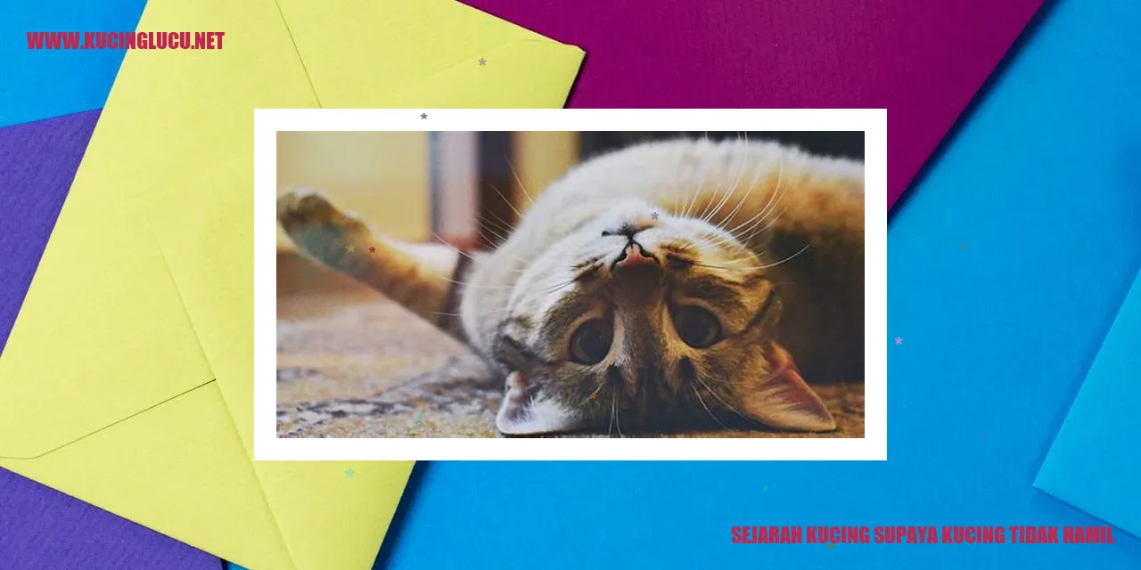 Gambar Kucing