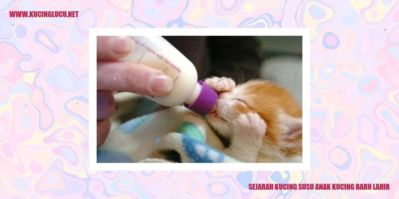 Gambar Anak Kucing Baru Lahir