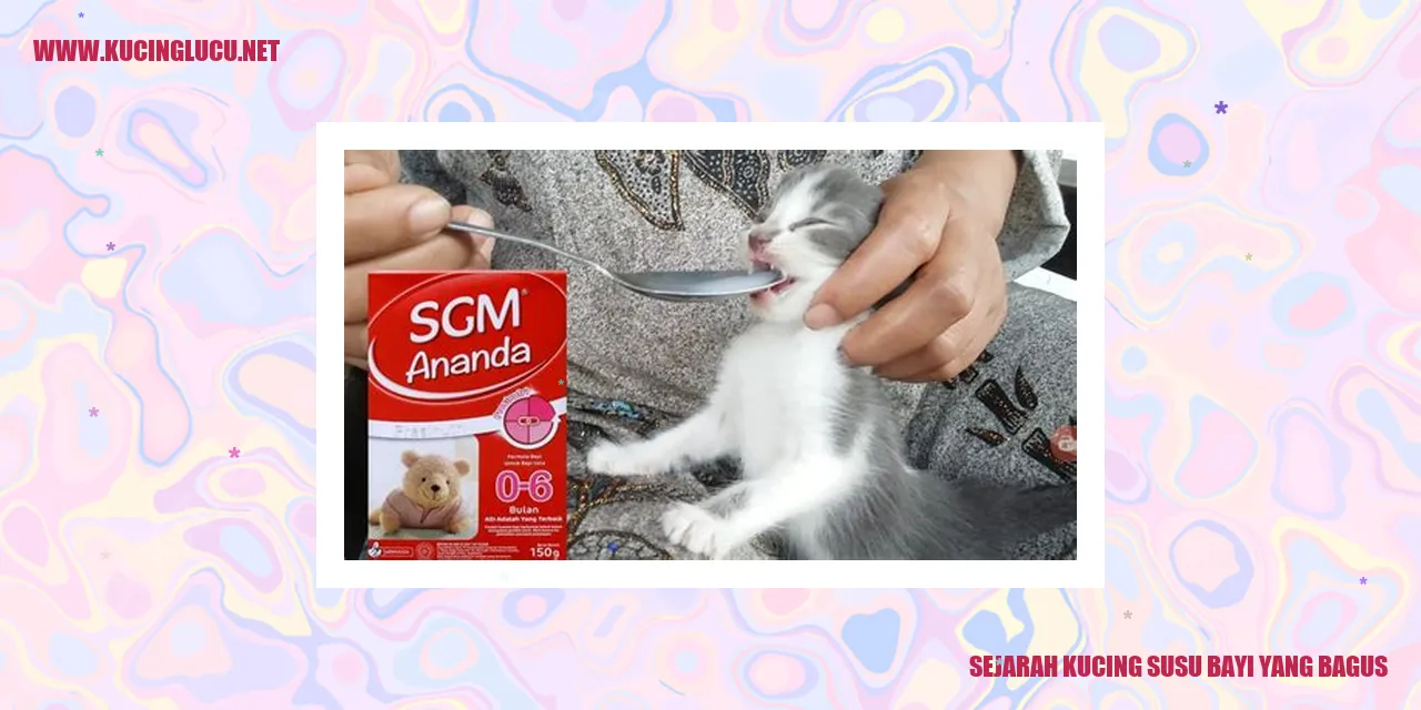 gambar kucing susu bayi
