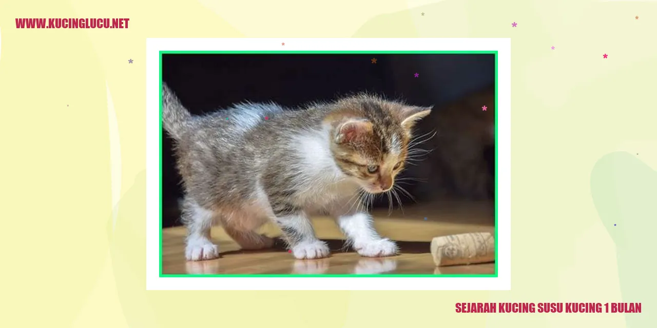 Sejarah Kucing Susu Kucing 1 Bulan